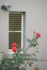 gro&szlig;ebrennweite